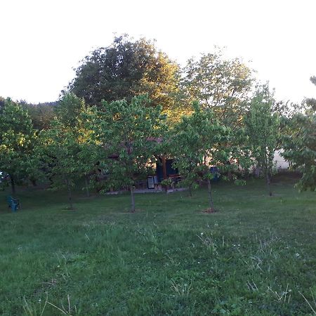 Penzion Casa Cionca Gilău Exteriér fotografie