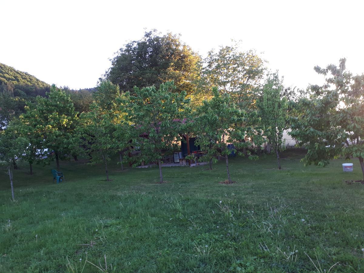 Penzion Casa Cionca Gilău Exteriér fotografie