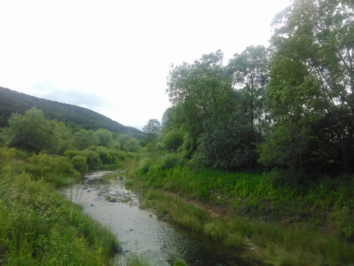 Penzion Casa Cionca Gilău Exteriér fotografie